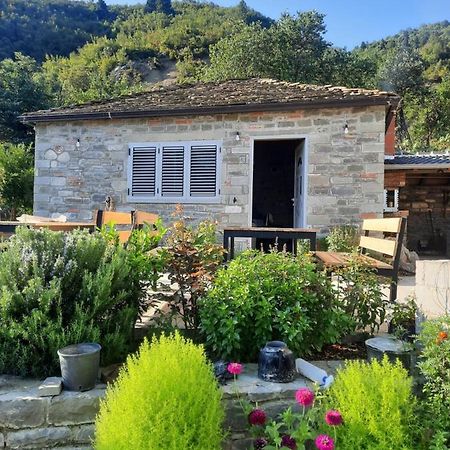 Bujtina Lugina E Vjoses Villa Permet Ngoại thất bức ảnh