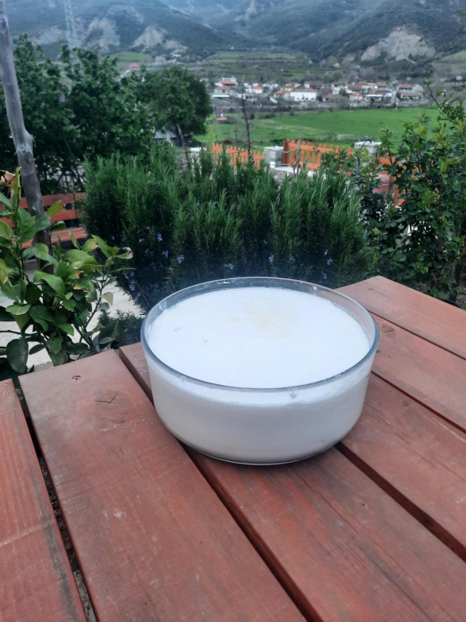 Bujtina Lugina E Vjoses Villa Permet Ngoại thất bức ảnh